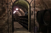 ���Ѿƺ�ؾƽѵĽ���